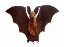 Plush Bat Doll Soft Simulation Stuffed Animal Collection Toys Bat with  Wings Christmas Gift for Boys Girls Kids 27*9"|toy bat|stuffed animal  toysanimal toys - AliExpress